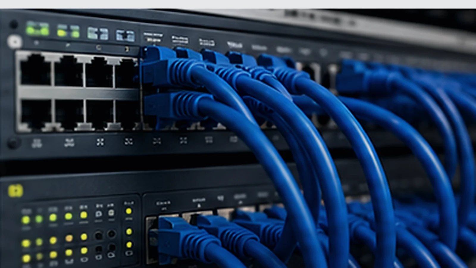 Network cabling connected to managed switches in a business server rack